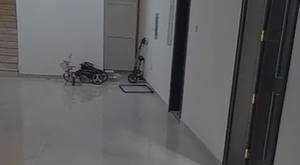 شقة 3 غرف وصالة للإيجار في الشوامخ – مساحة أمامية كبيرة وعقد حكومي - صورة 9