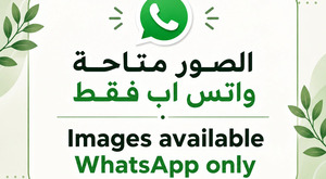 شقة 3 غرف وصالة في مدينة الرياض – أبوظبي