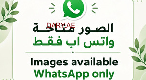 ستوديوهات للايجار في مدينة خليفة A  السعر يبدأ من 37000 - 52000